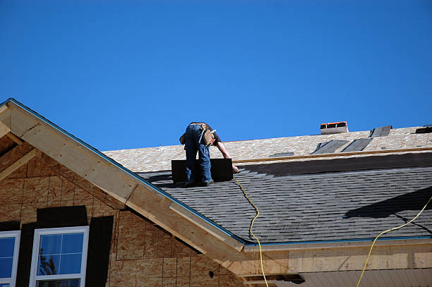 Best Roof Gutter Cleaning  in Spring Valley, WI