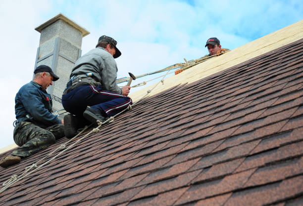 Best Sealant for Roof  in Spring Valley, WI